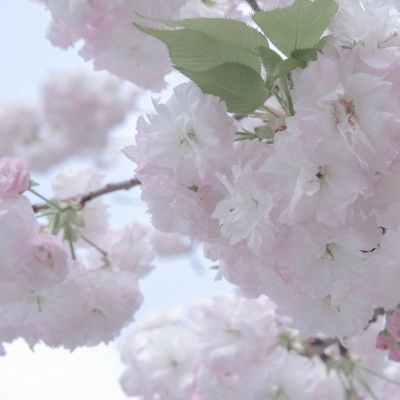 Furry兽圈美学分享FurryQQ群